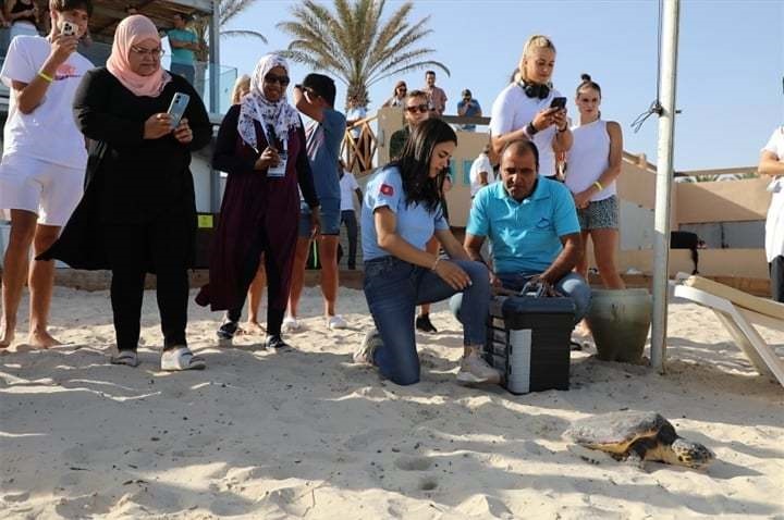 tortue-tunisie