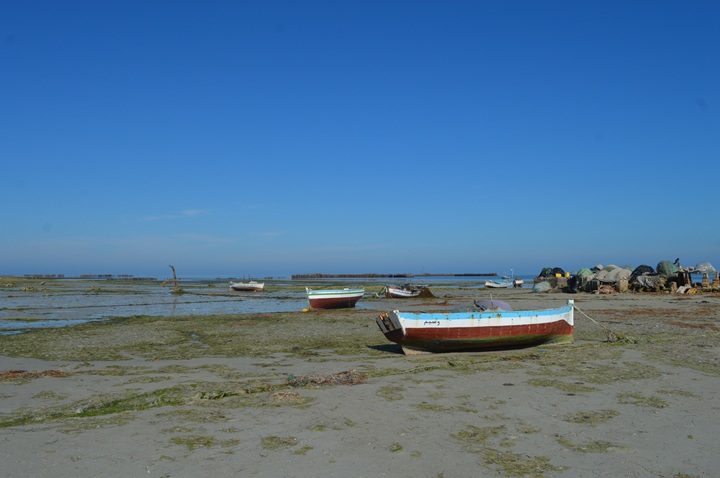 mediterranee-djerba-plage