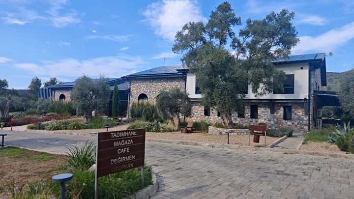 oro-di-milas-bodrum