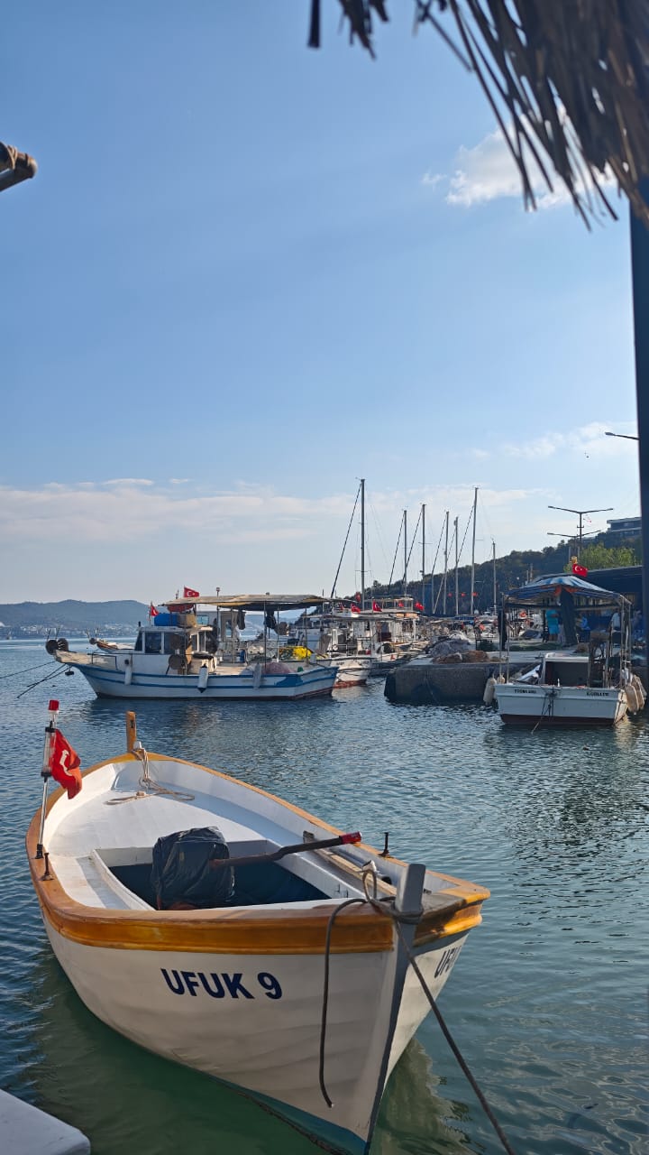 iasos-harbour